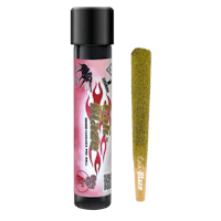 Cherry Cola Tarantula | 1g - product image at King of Budz