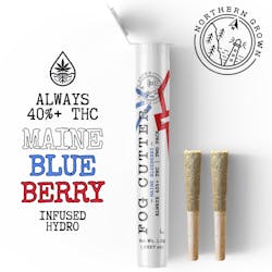 Fog Cutter | Maine Blueberry - Infused Preroll 2pk 1g