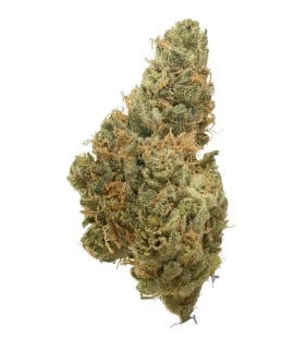 Product: Beanfiendz | The Hempire Collective