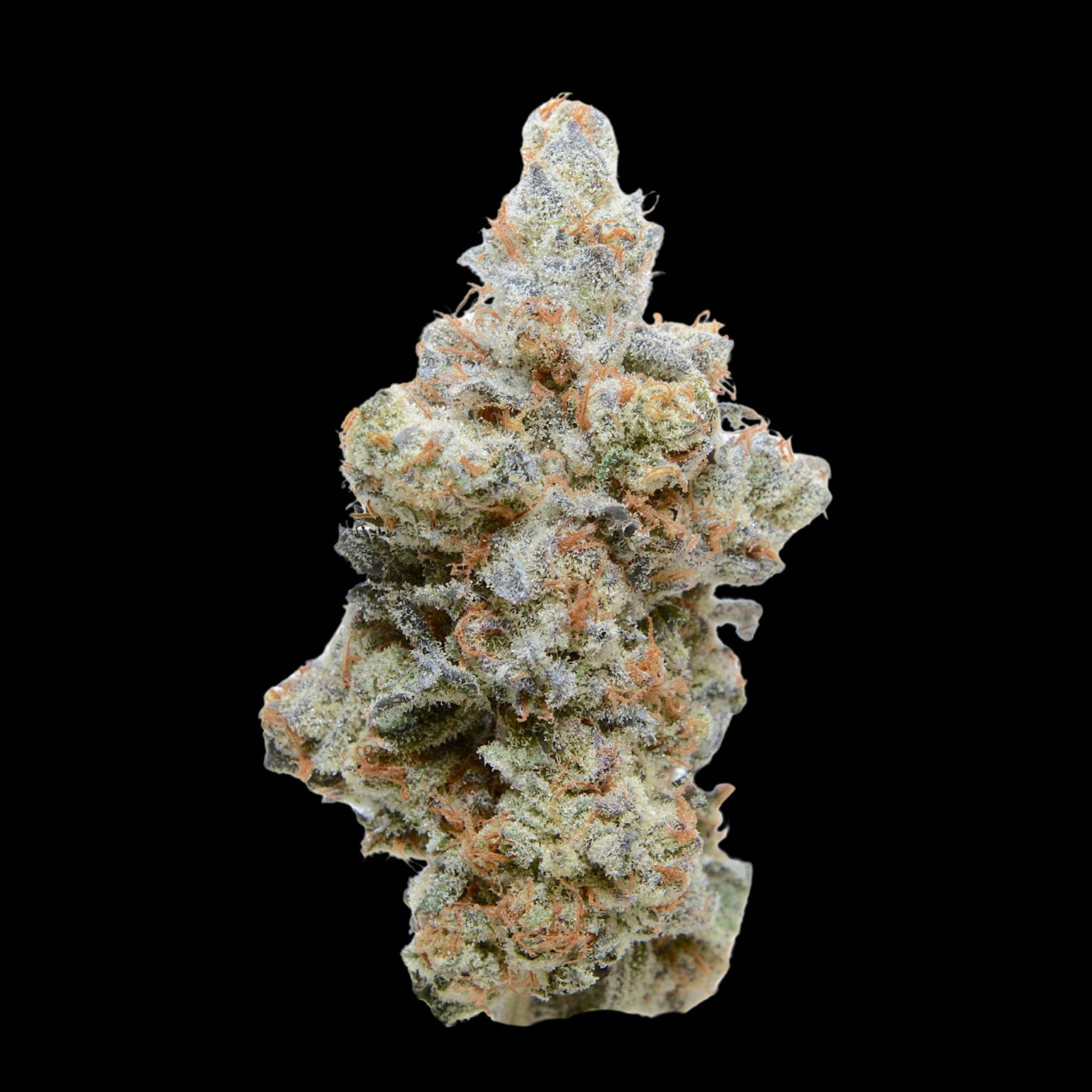 CBDWax 超高濃度94.1% 24g Pure Michigan | 14g by Tall Trees Farm | Buy Online | Treehouse