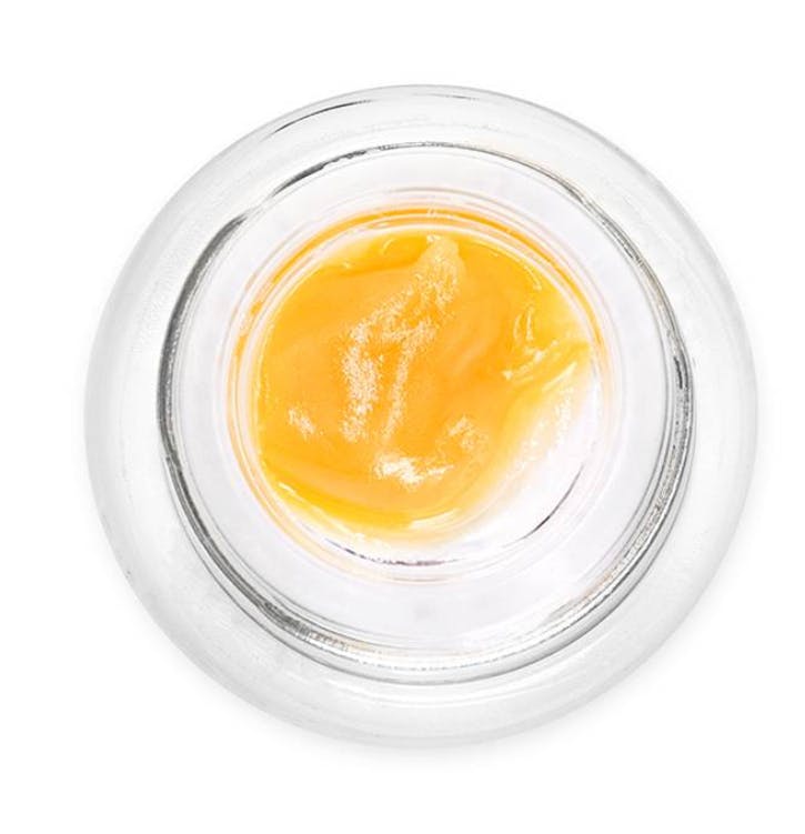 Hella Jelly Badder | Safeport - Oxnard