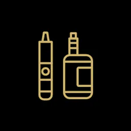 Vaporizers category image