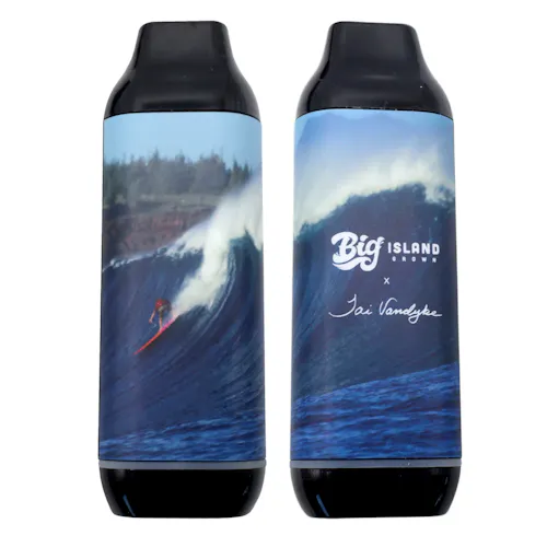 Ripped – BIG x Tai Vandyke Battery-4