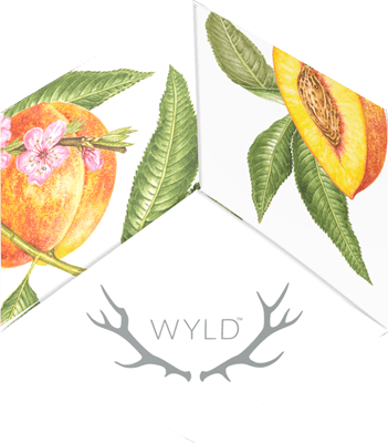 Wyld | 1 THC : 2 CBD Peach Hybrid Gummies-2