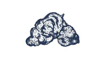 Flower category image