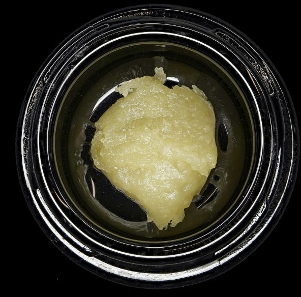 Wojo - Live Rosin - Apple of My Eye