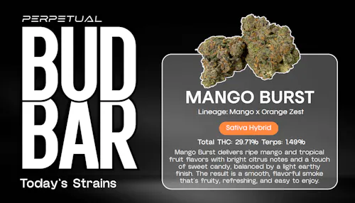 MANGO BURST – Deli Style Flower-active