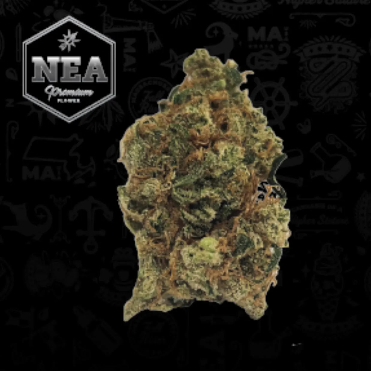 Northeast Alternatives - Fall River - Medical