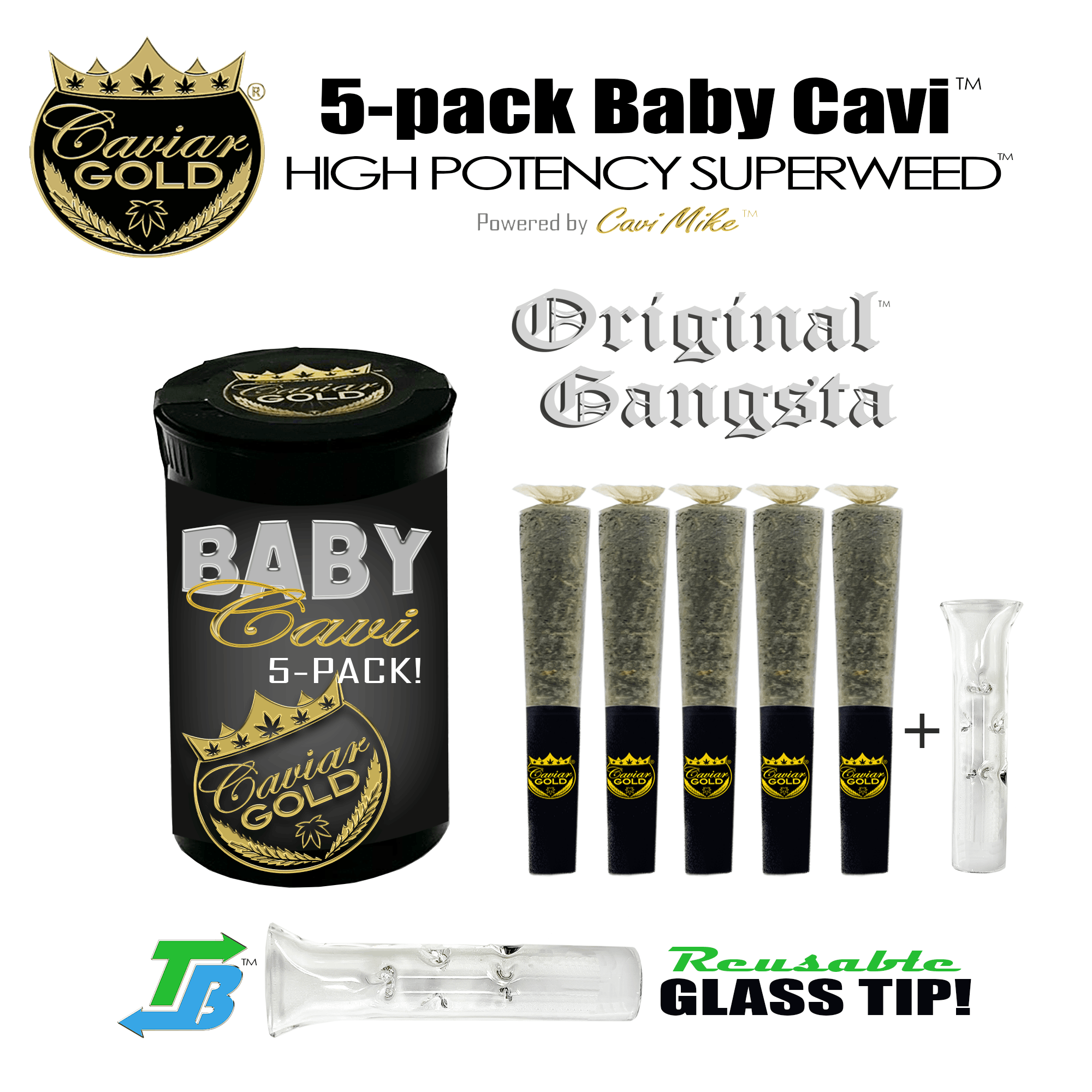 Product: CAVIAR GOLD | ORIGINAL GANGSTA (BABY CAVI) | INFUSED PRE-ROLLS | 5 x 0.5G SATIVA