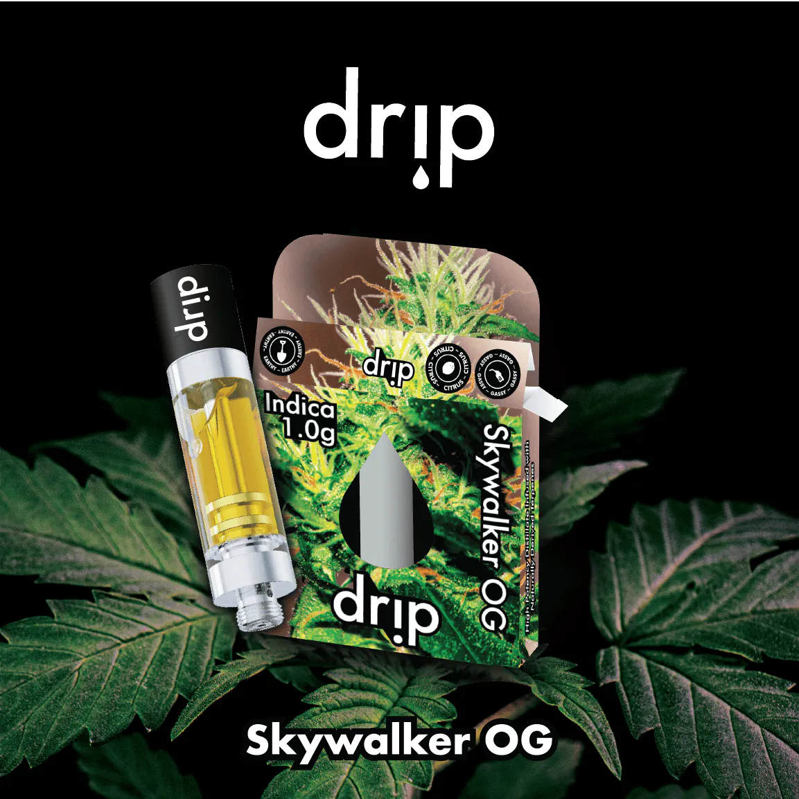 Drip | Skywalker OG Distillate Cartridge | 1g | 31 Cannabis