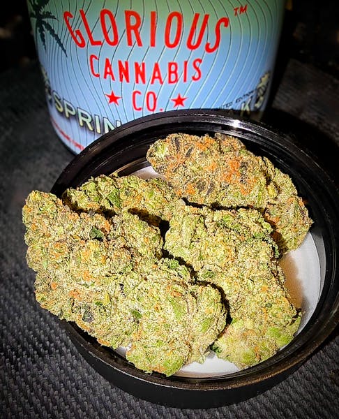 G-Thang Kush (SH) - 3.5g Flower - Glorious Cannabis