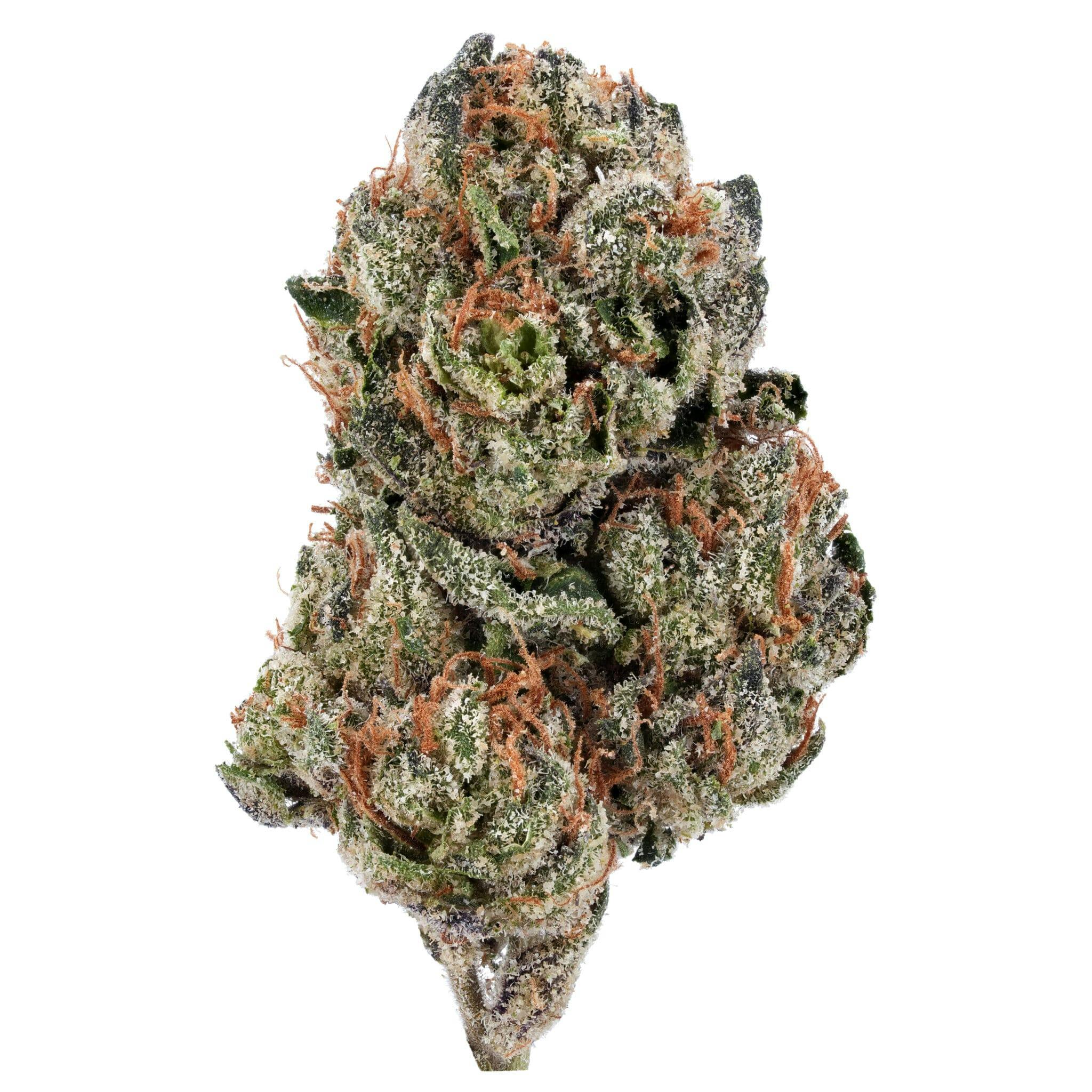 Harborside (San Jose 10th Street)