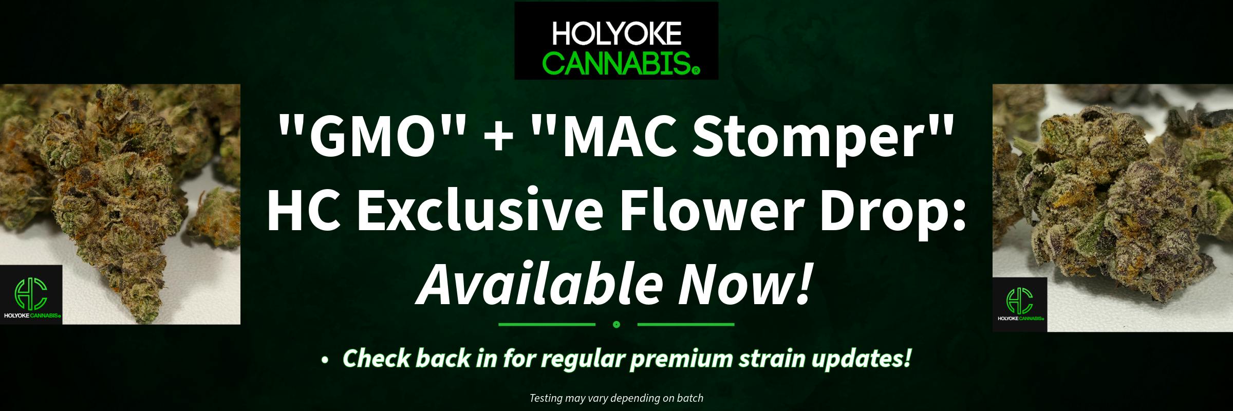 Holyoke Cannabis | Exclusive Flower Drop "GMO" + "MAC Stomper"