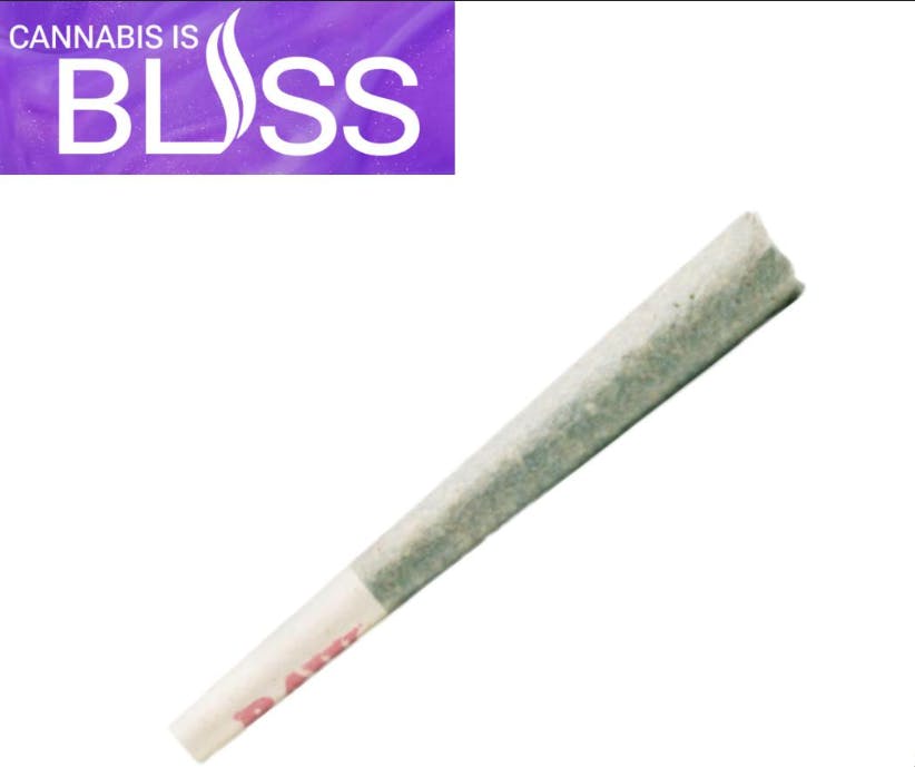 Bliss | Melon Chill | 1.5G Live Resin Infused Pre-Roll