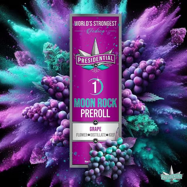 Presidential - 1g Moon Rock Infused Preroll - Grape