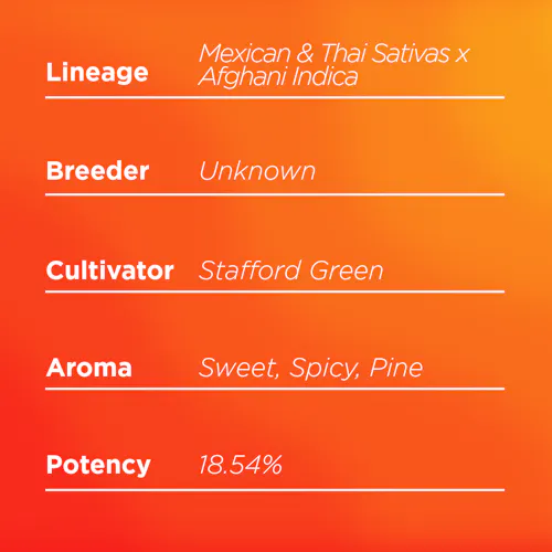 Deli Style | Trainwreck Pre-Ground | Sungrown – Sativa-1