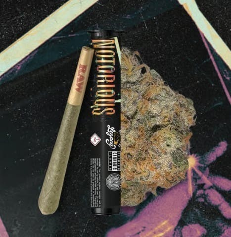 Notorious Pre-Roll 1g