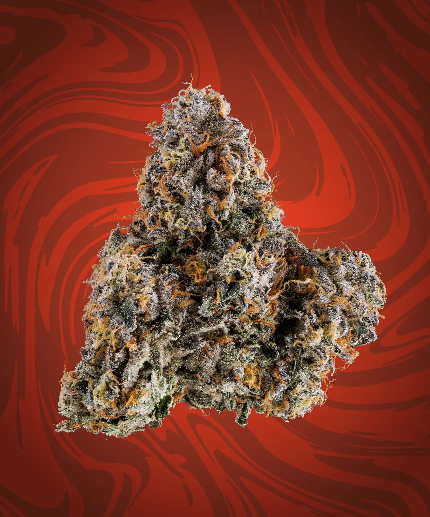 3.5g | Vivid Collard Greens | MO Health and Wellness - Kirksville