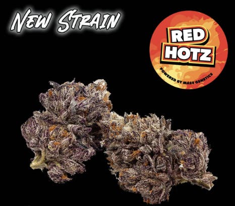 GNG + | Red Hotz | Flower