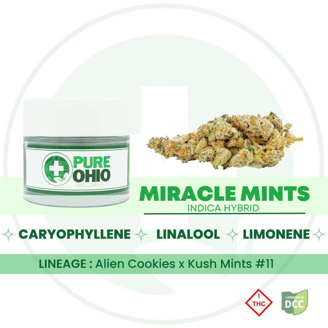 Pure Ohio Wellness Miracle Mints