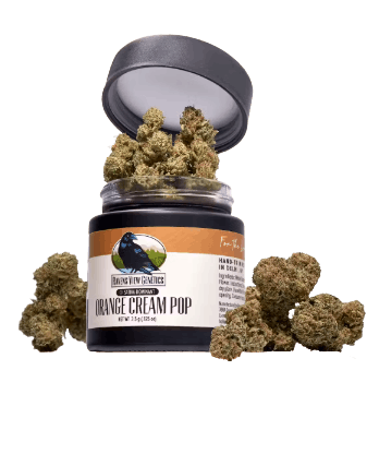 Ravens View Genetics Orange Cream Pop - FLOWER cannabis product, 1/8oz