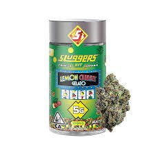 LEMON CHERRY GELATO