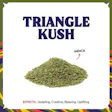 Pre-Ground Triangle Kush