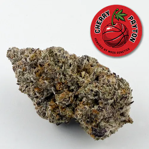 Cherry Payton (H)  **Not Included in Mass Genetics Monday**-1