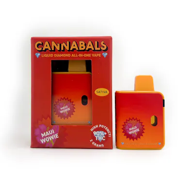 Vaporizers Archives - HighStone - Cannabis Delivery in NYC