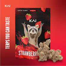 Kai - 3.5g Prepack - Strawberry Gary