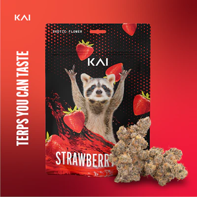Kai - 3.5g Prepack - Strawberry Gary - FLOWER by KAI at King of Budz