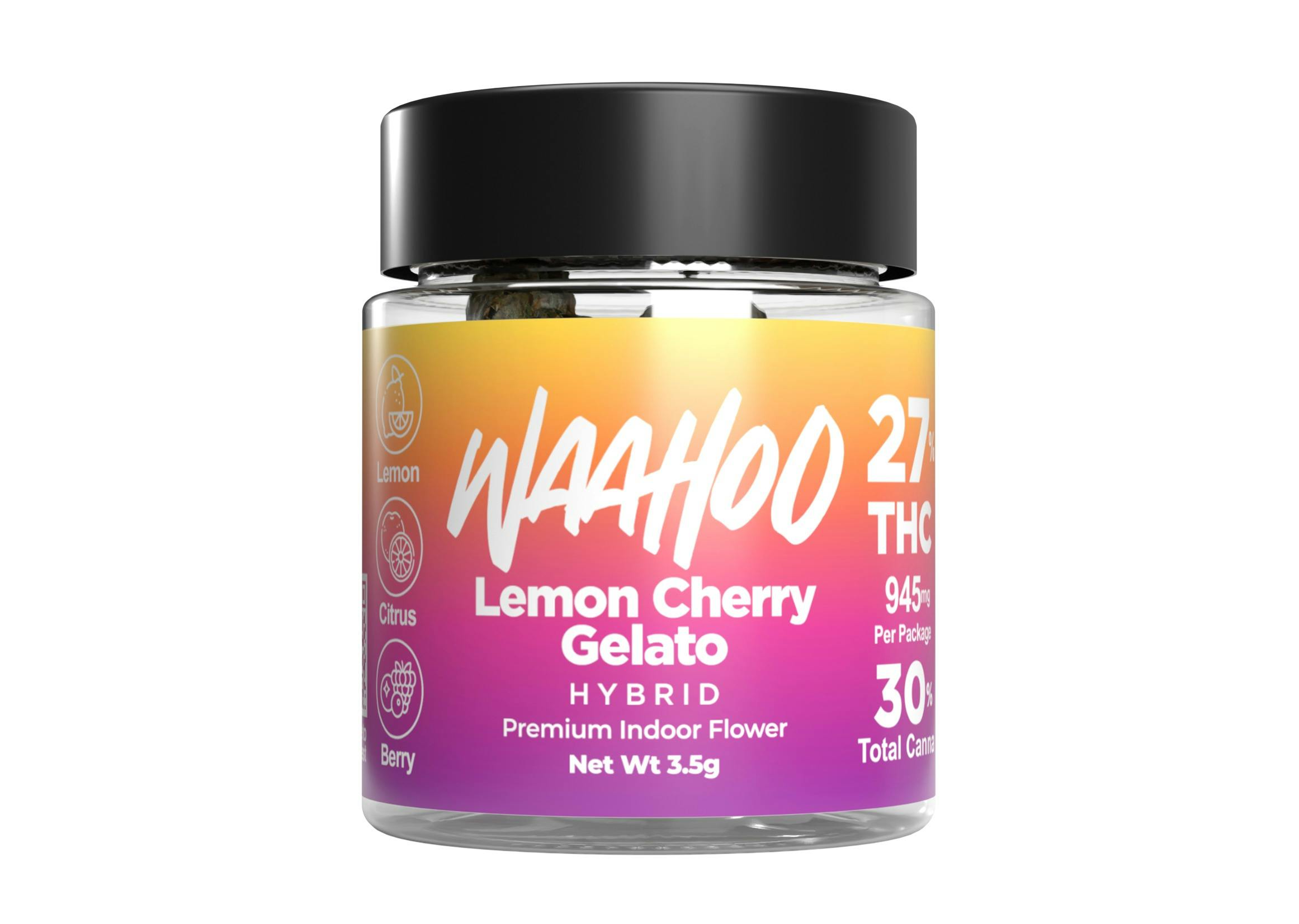 Lemon Cherry Gelato Indoor - The Flowery NY