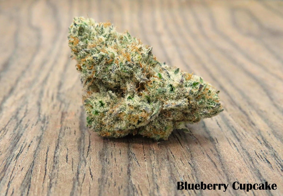 Photo of Blueberry Cupcake