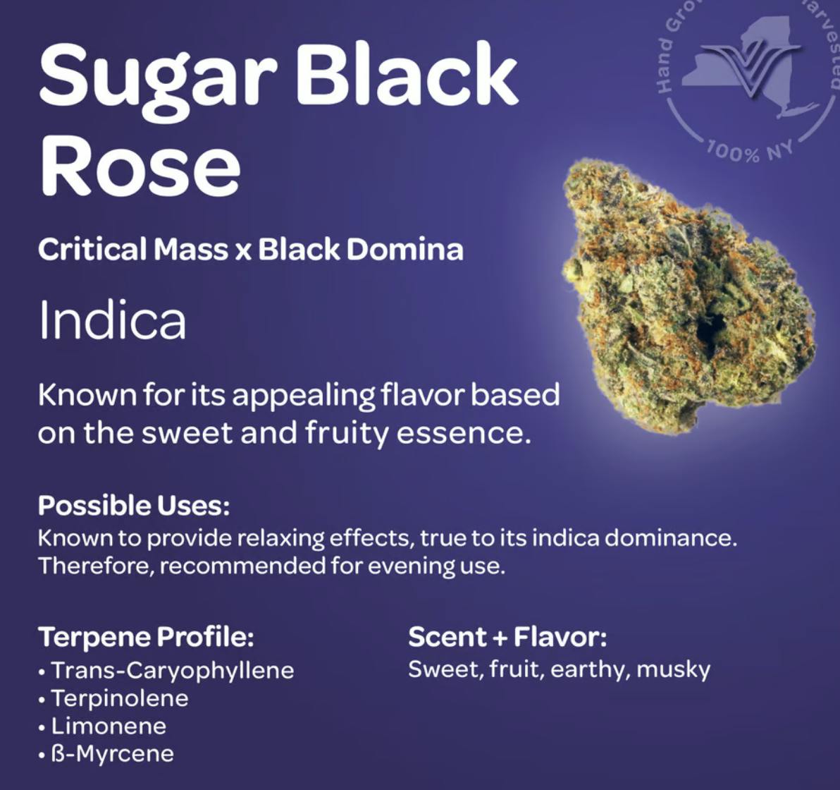 Vireo Indoor Indica Flower 3.5g- Sugar Black Rose-2