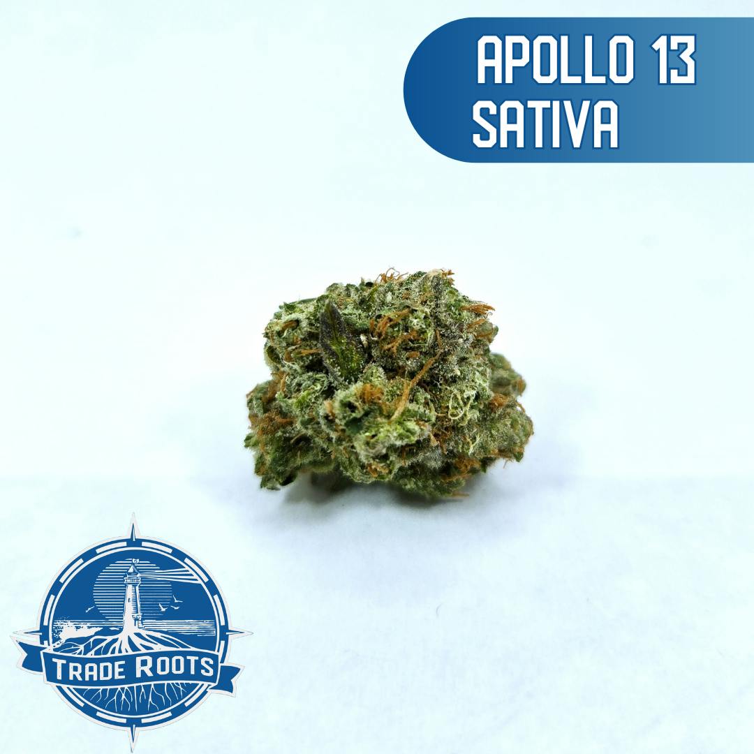 Shop Cannabis in Wareham, MA | Trade Roots