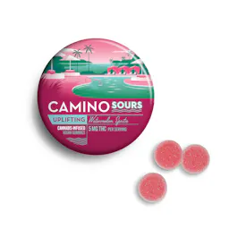 Sours Watermelon Spritz Cannabis-Infused Vegan