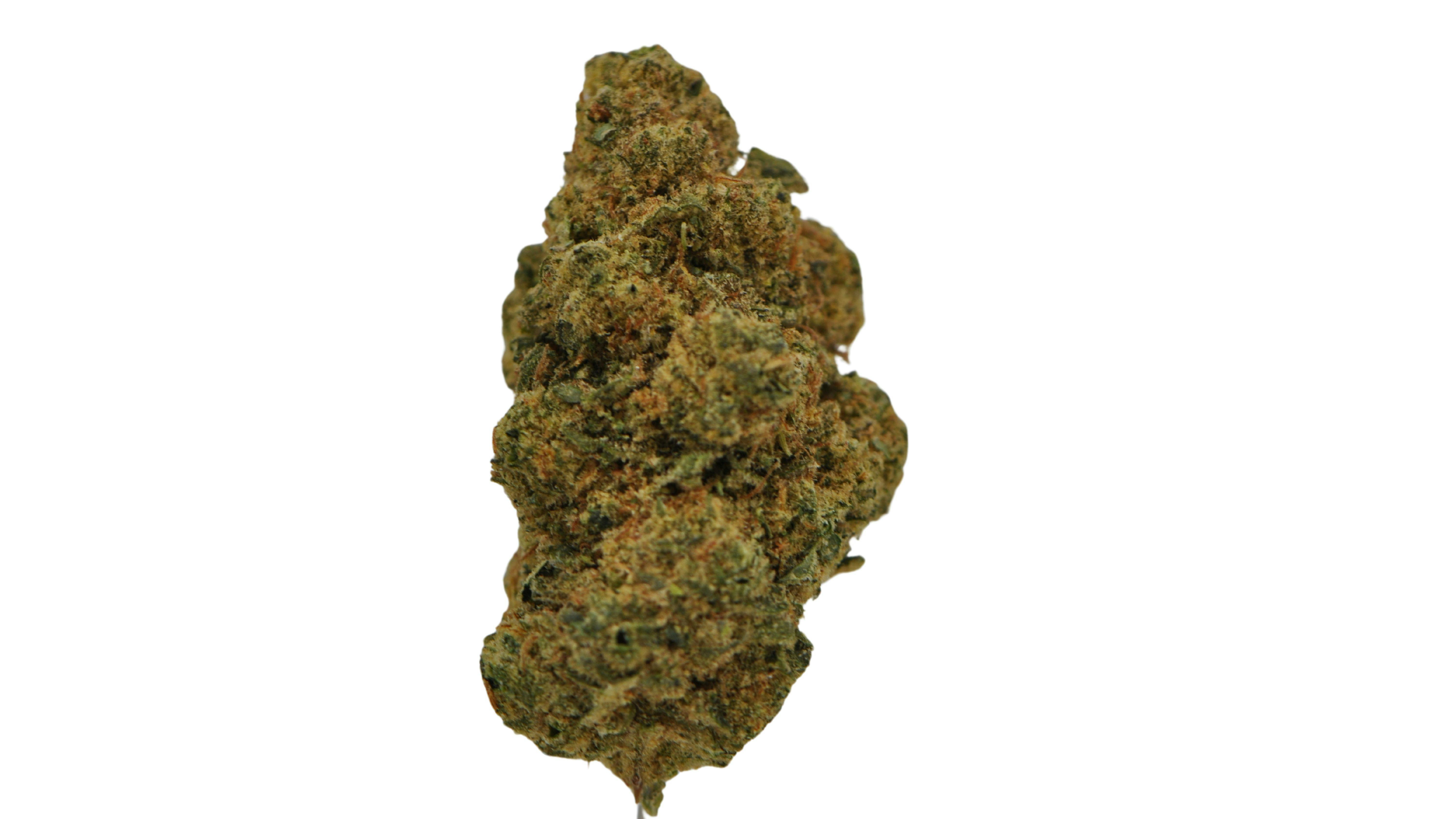 image of Mac & Cheese | 3.5g Prepackaged Flower