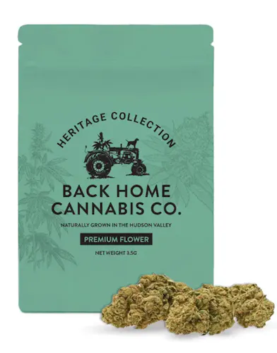 Jack Herer | Flower | 3.5g-1