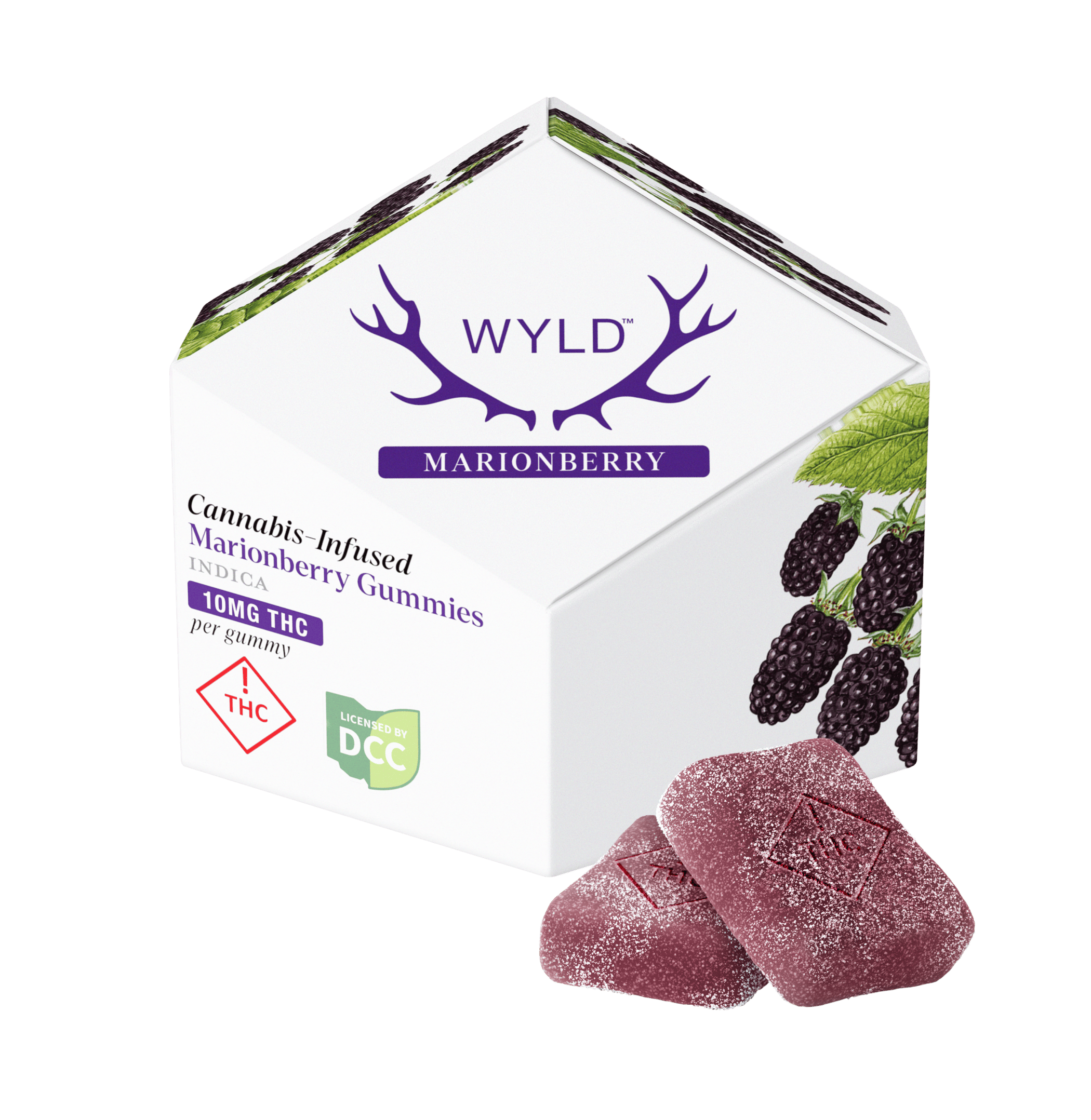 Marionberry 10 X