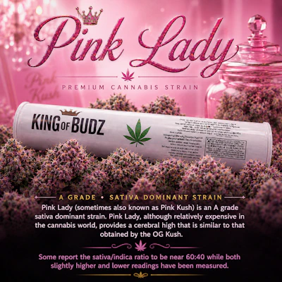 KOB - 1g Preroll - Pink Lady