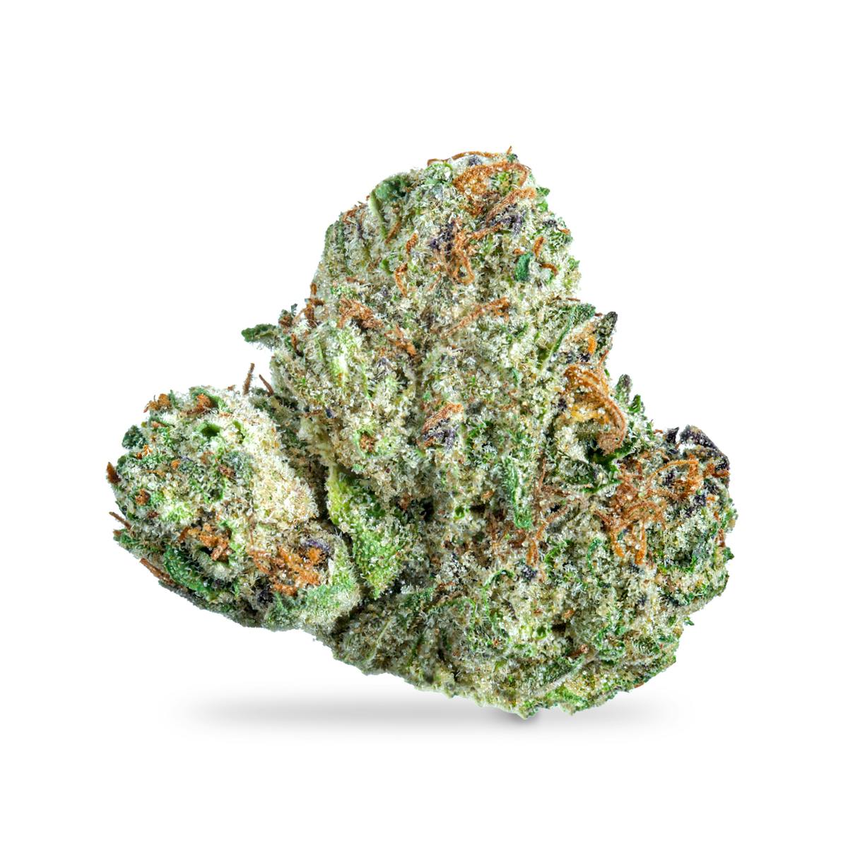 Photo of Gelato Cake
