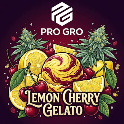 DELI - Pro Gro - Lemon Cherry Gelato - FLOWER by Pro Gro at King of Budz