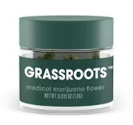 Ocifer 4 (Jayna's Sunshine)