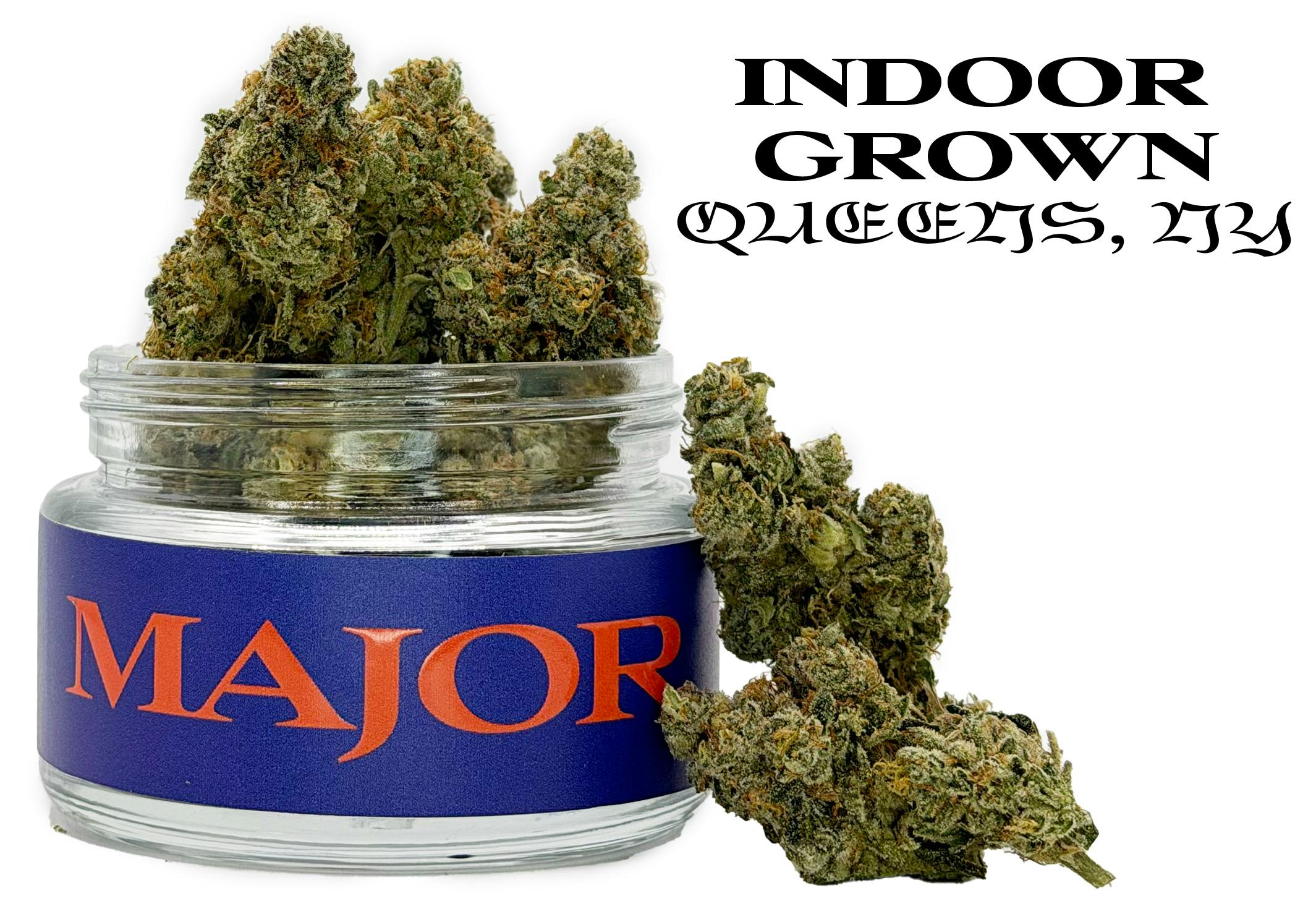 Major | Neptune Haze | 3.5g (Premium Cannabis)