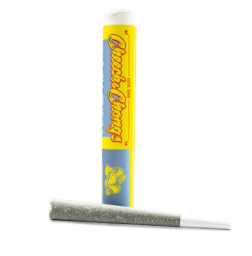 Cheech & Chong | Infused Pre-Roll - 1.2g - Sgt. Rainbow (Hybrid)