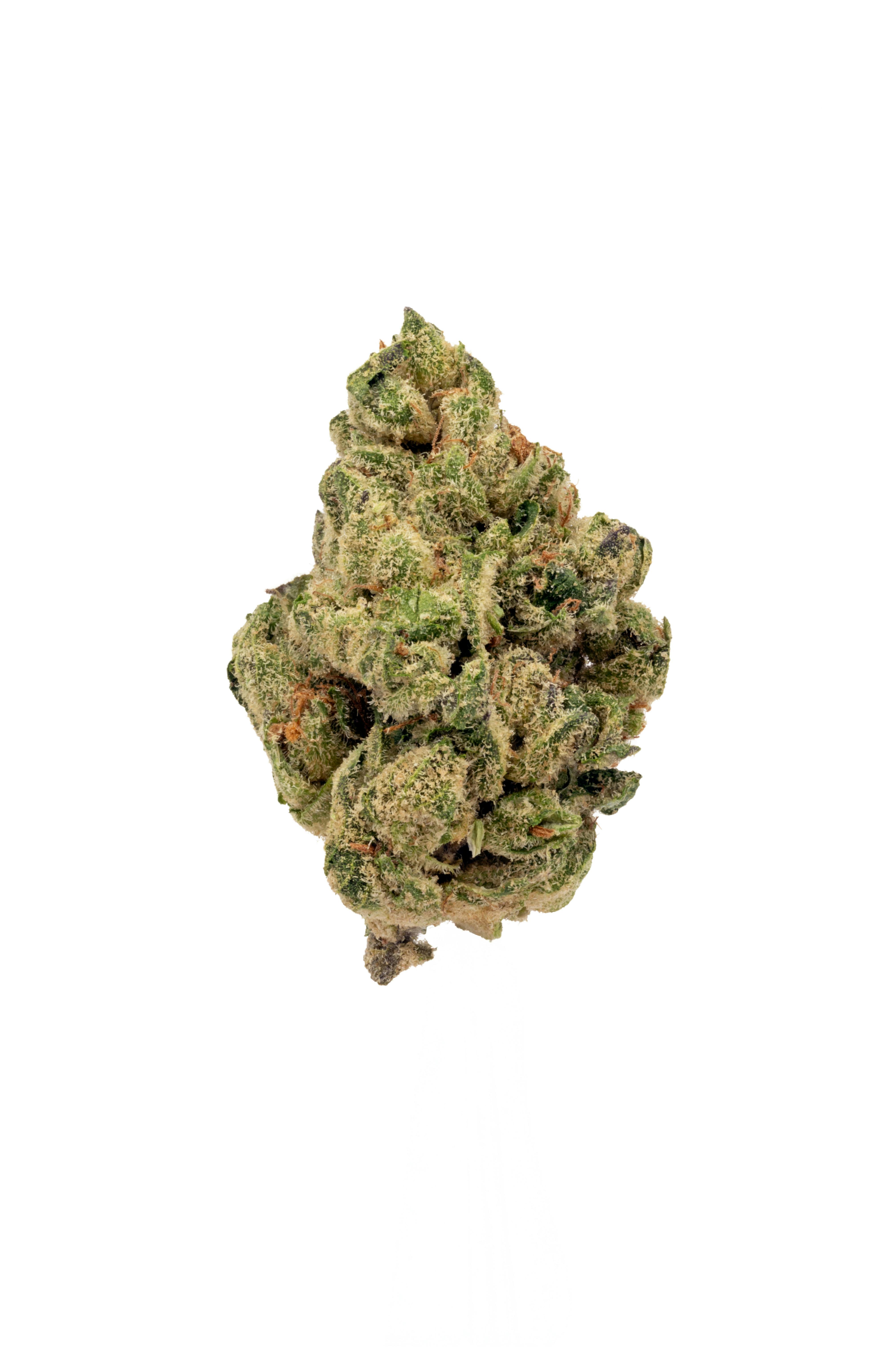 Photo of Black Scotti