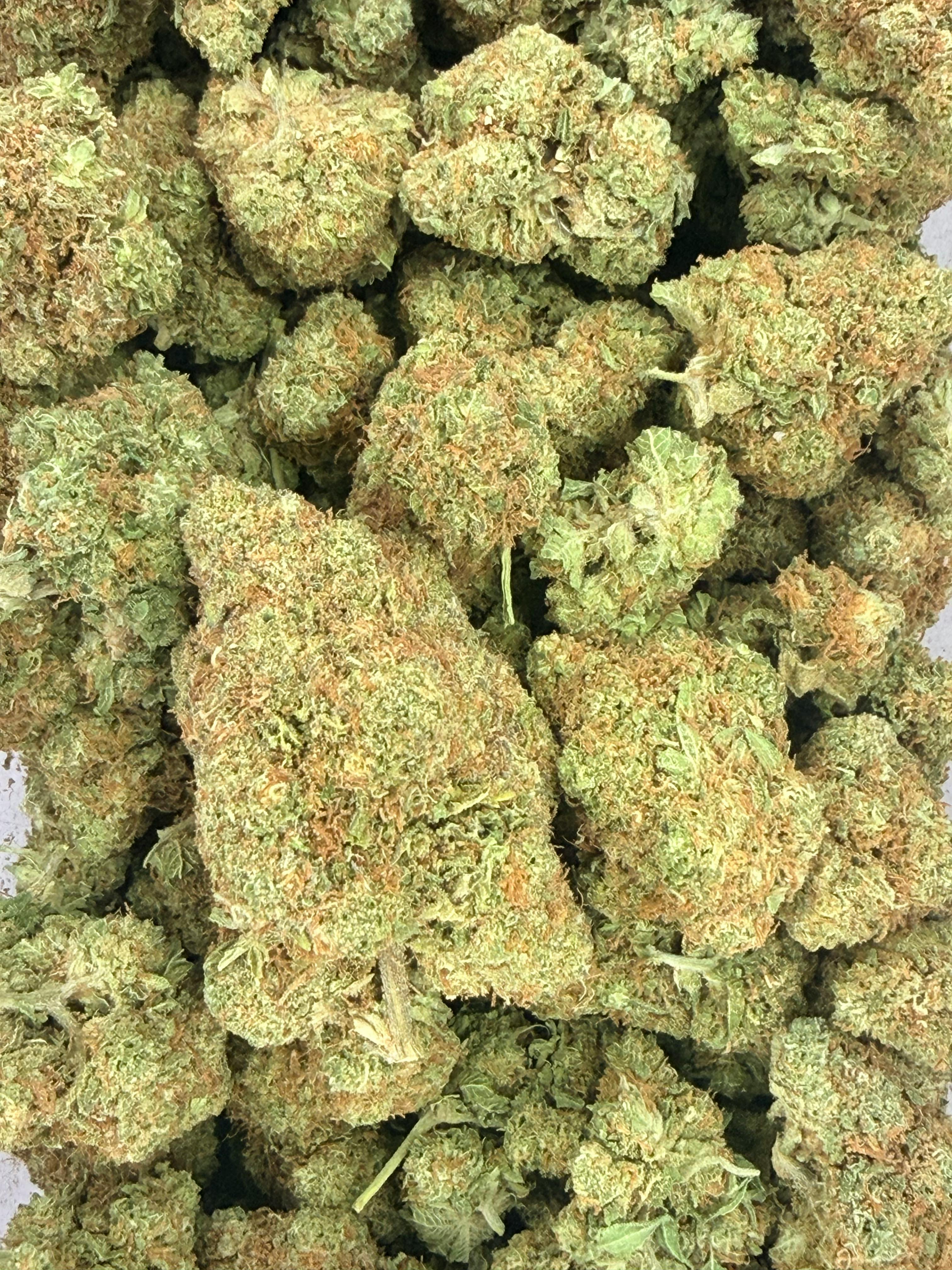 Confetti Cake | Deli Flower (Gold)