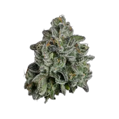 vape juice explained Vape Juice Ingredients: What are in Vape Juices