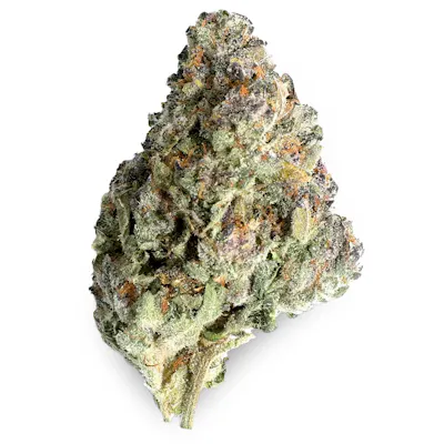 Shop Muskegon's Top Cannabis Dispensary | Exclusive