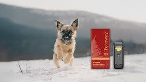 Product FERN AIO Traveler Pro - Snow Dog (Sativa) 2g